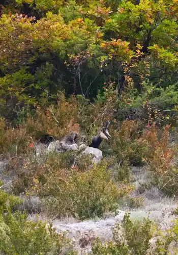 Faites comme lui, rejoignez Sacr&eacute;e M&eacute;ouge
