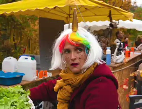 d&eacute;guisement licorne