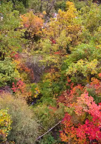 gorges de la M&eacute;ouge en automne