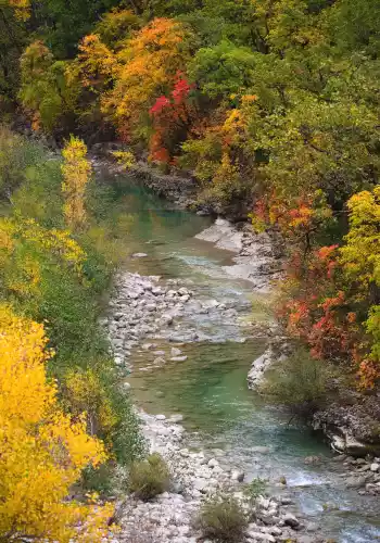 La M&eacute;ouge se pare de couleur pour Sacr&eacute;e M&eacute;ouge