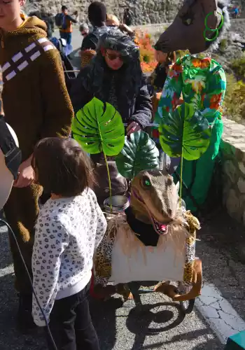D&eacute;fil&eacute; Charivari Parade