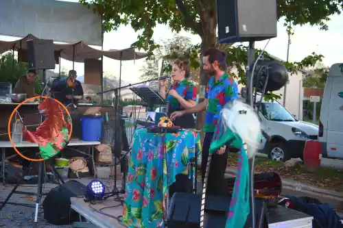 fin de soir&eacute;e avec Electrofaune