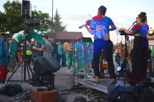 &eacute;l&eacute;ctro-forro avec Electrofaune