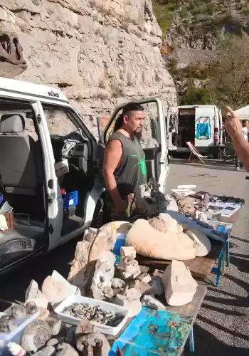 Kim Nguyen Van Nhan, Pal&eacute;ontologue amateur