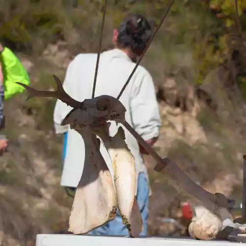 Des restes de repas :D